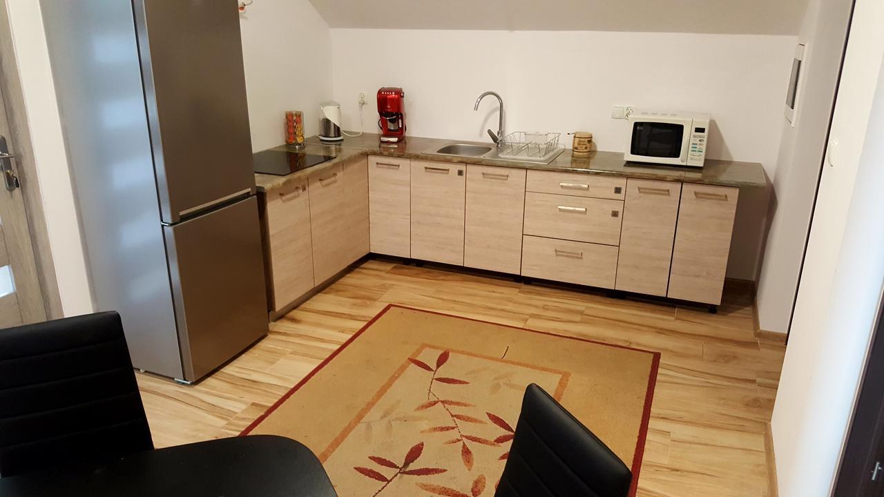 Apartamenty Daisy Goczalkowice-Zdroj Luaran gambar